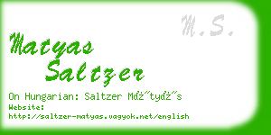 matyas saltzer business card